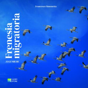 Frenesie Migratorie
